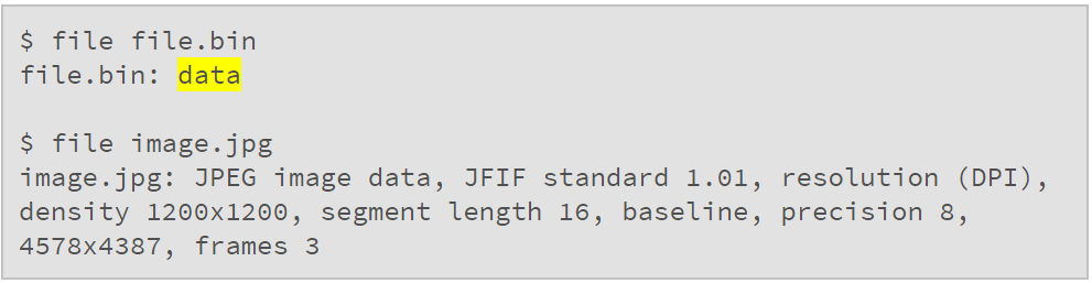 file JPEG