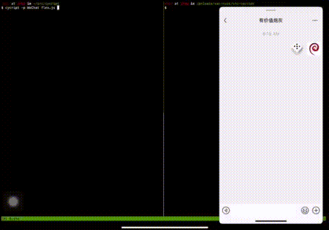 使用 cycript 注入 libflex flex.gif