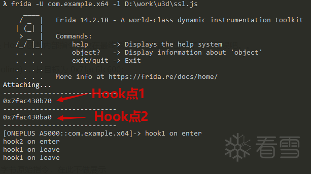 Frida_hook_show1