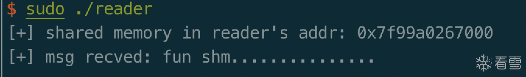 reader