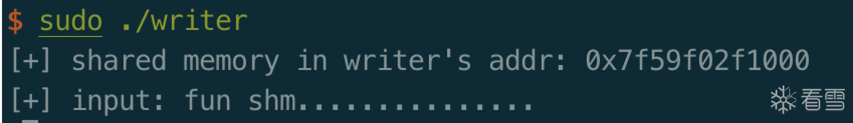 writer