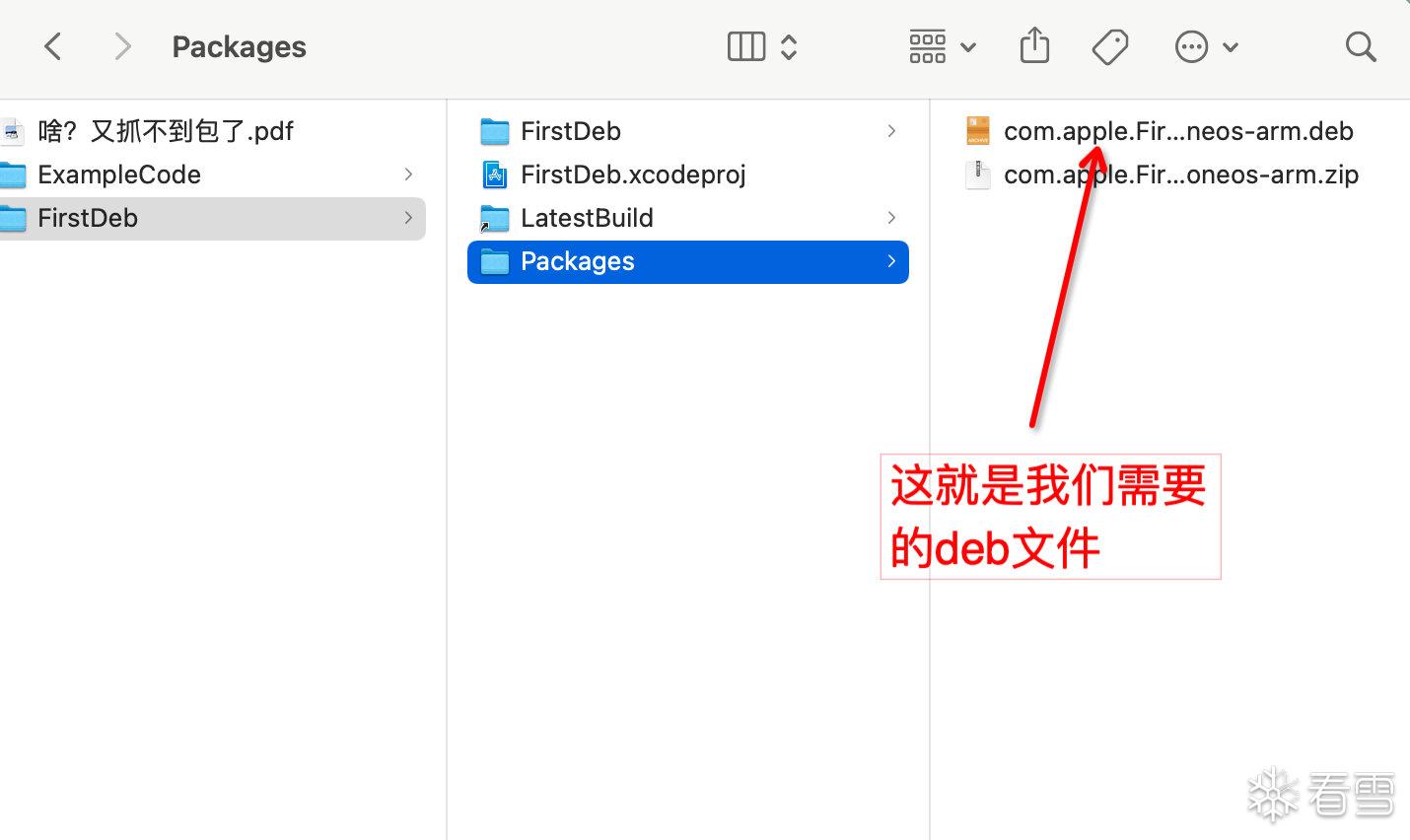 image-20221202230558638