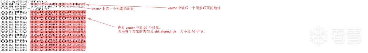 view-vector-front-20-data