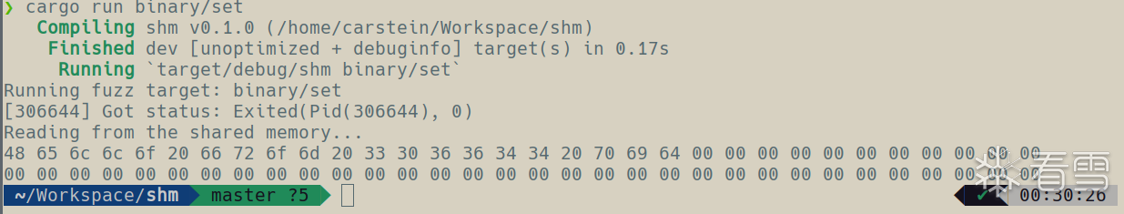 shm_test1.png