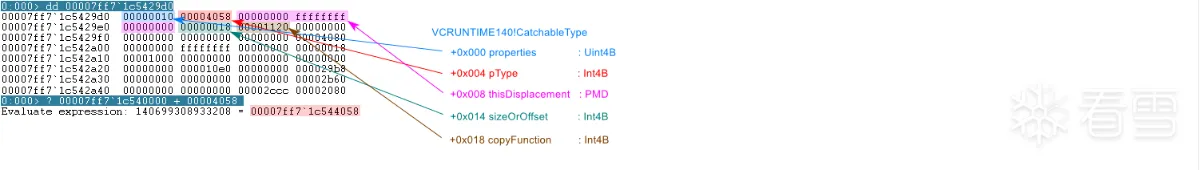view-CatchableType