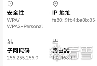 image-20250124194715926