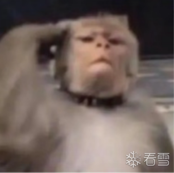 image-20250303125108897