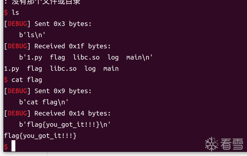 image-20250213155650967