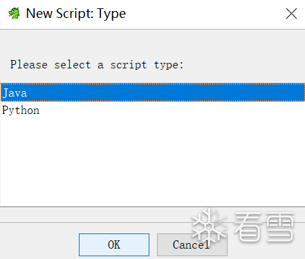 Figure 2.8 – The programming language dialog during new script creation