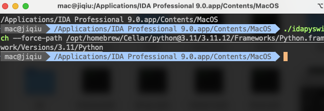 执行 idapyswitch 命令